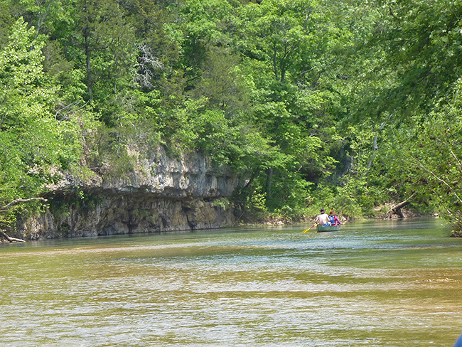 View looking down Courtois Creek