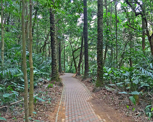 Pathway in Chiayi Park