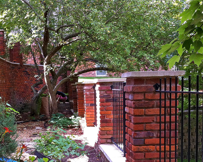 Side yard Cross Timbers Court