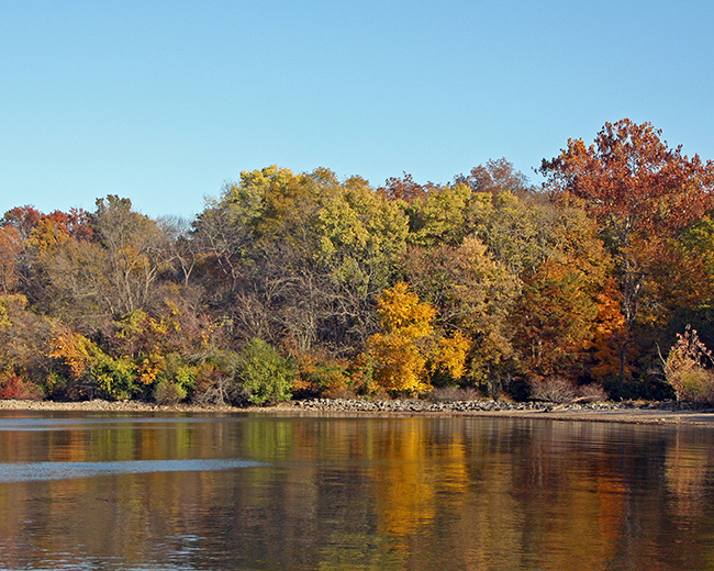Lake Springfield in fall