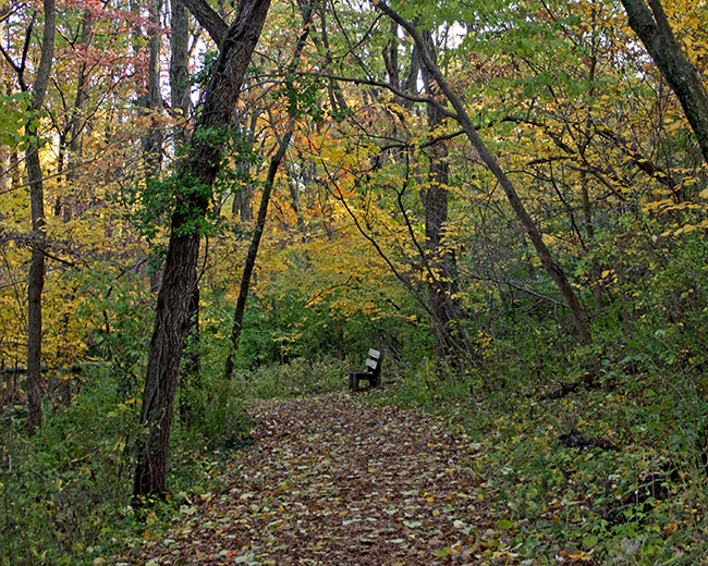 Trail in Lincoln Memorial Garden