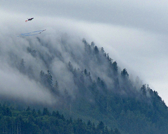 Coastal Oregon beach kites