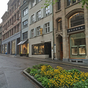 Yellow flowers in the median where Bäumleingasse meets Freie Straße.