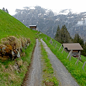 The gravel track goes straight along the slope toward Gimmelwald.