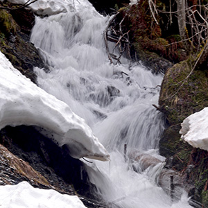 The Staubbach cascades through snow-covered banks.