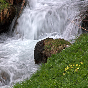 A stream cascades down through the grass