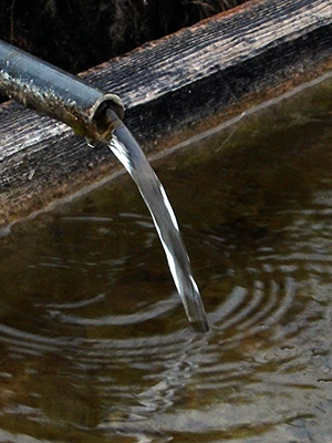 Water flowing into the water trough
