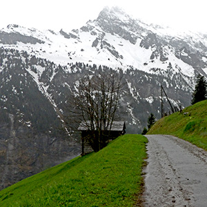 The Bort road above Gimmelwald
