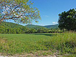 Arkansas scenery