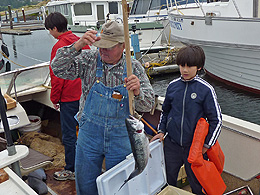 The fish is a good sized coho salmon