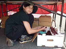 A boy crouched under a table sorting through cherries