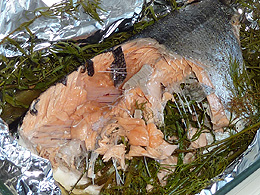 A coho salmon after it has been cooked
