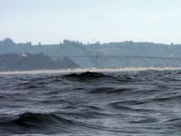 Rough waves on the Pacific Ocean