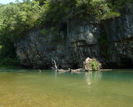 Summer 2010 photograph