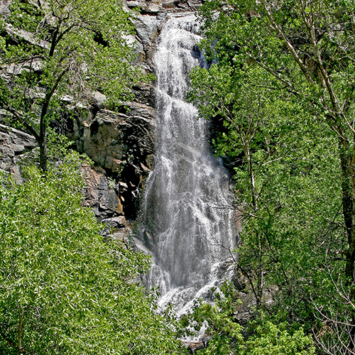 An unimpressive waterfall glimpsed through trees