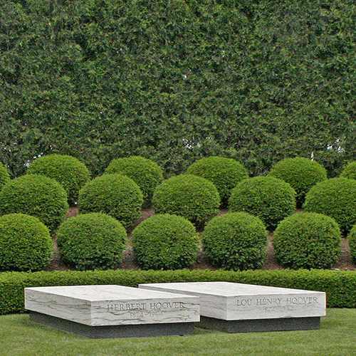 Two white slabs of marble lie in front of many round bushes in front of a dark hedge