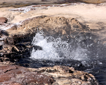 Small geyser has white splashing surrounded by black rocks and bacteria