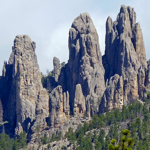 Rocks that stick up like columns or needles. They are very large.