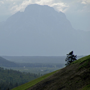 Silhouette of Mt Moran over valley