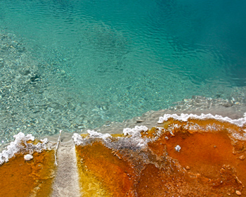 Orange and yellow bacteria next to clear blue-green spring water