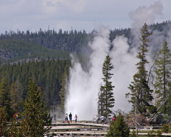 A tall and powerful Grand Geyser seen from far away