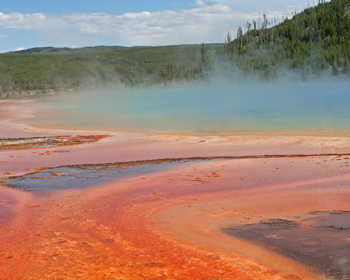 Red bacterial mats with blue behind them