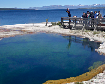 Visitors looking down at Abyss Pool