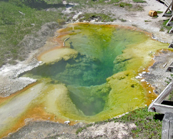 Greens and yellows in a hot spring.