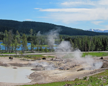 Mud, grass, bison, river, mountains in the distance, and steam