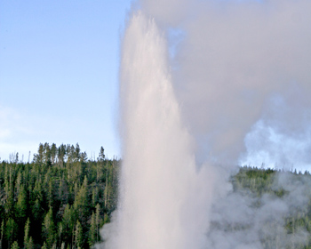 Old Faithful in late evening light