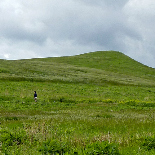 A hill covered with tall grass