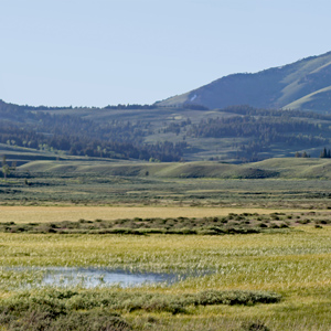 Flat wetlands and hills rising up behind with mountains in the distance