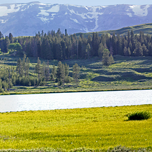 Bright grass, pale lake, and backlit mountains in the distance