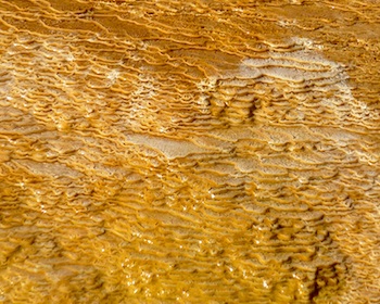 Close up of tiny terraces
