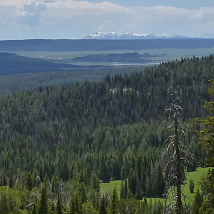 View of mountains in the far distance over forests and valley