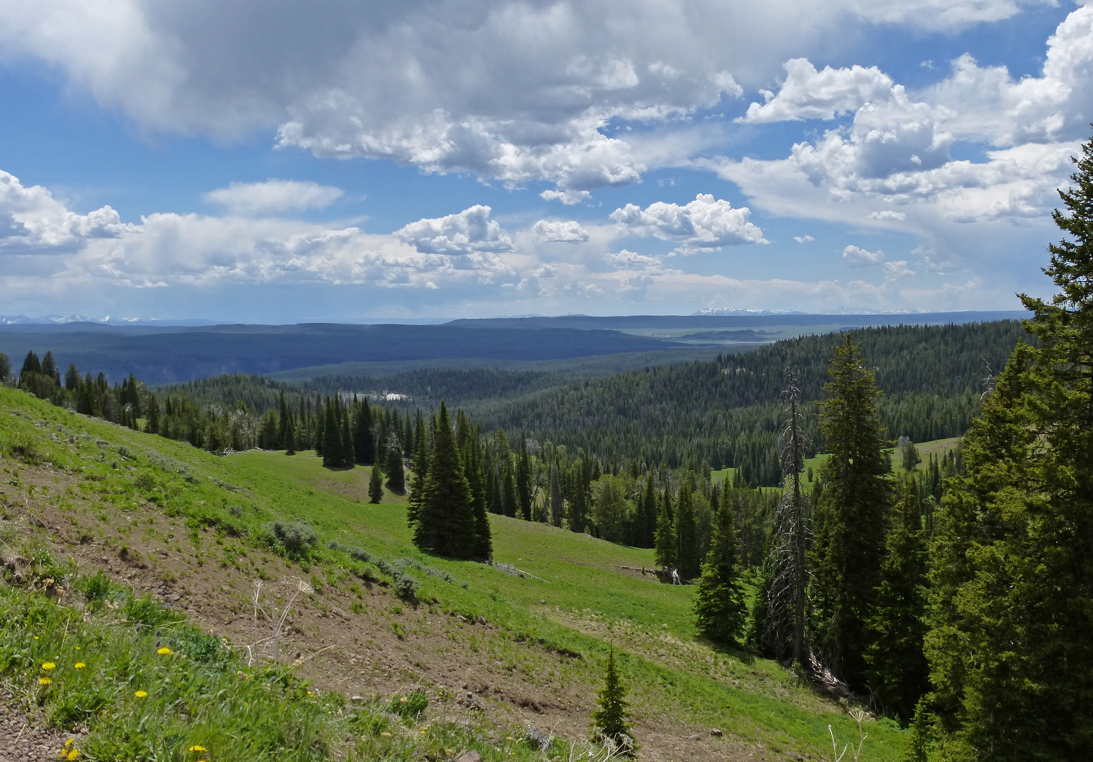 View_from_slopes_of_Mt_Washburn.jpg