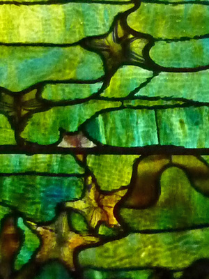 Starfish themes in this stained glass by Louis Comfort Tiffany (displayed in the Dallas Museum of Art in Dallas, Texas. This art glass dates back to the years 1886-1895). 這面彩繪玻璃是以海星為主題，由路易斯·康福特·蒂梵尼親手製作（在德州達拉斯城的達拉斯美術博物館中展示，它的歷史可以追溯回1886年至1895年）。