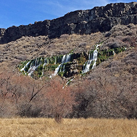 Springs emerge from hillside along the Snake River