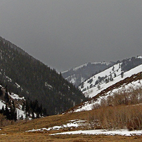 One side of a mountain is covered with a forest.