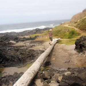 A child and a driftwood 小孩和漂流木