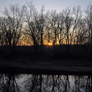 Sunset, woods, and reflection from the river