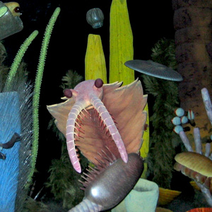 Sea life of the Cambrian