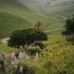 Trail downhill