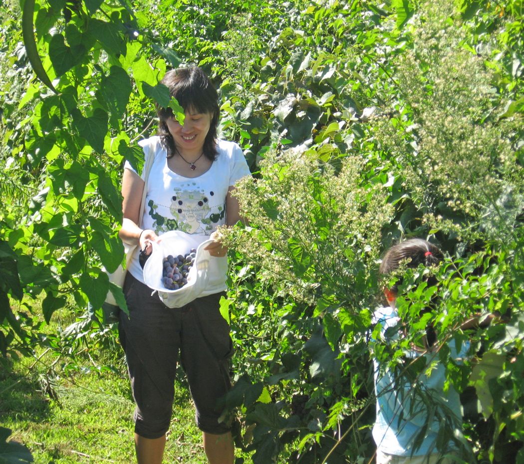 Tianhua with Grapes