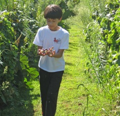 Arthur with Grapes