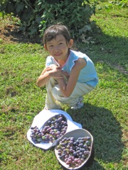 Annie with Grapes