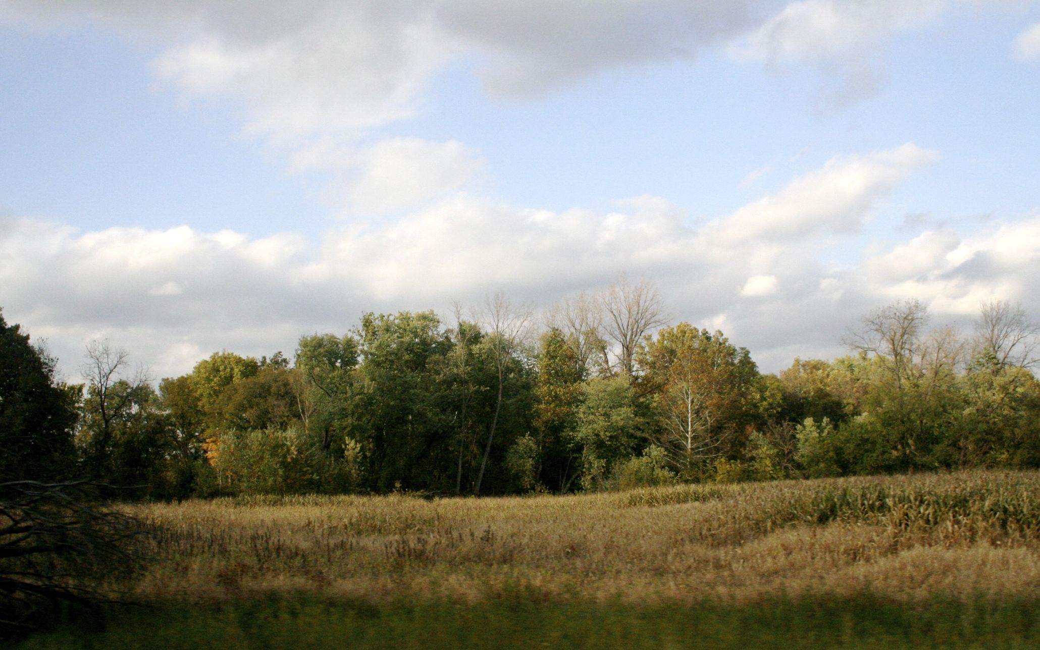 Indiana Field Late Afternoon.JPG