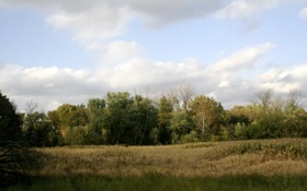 Indiana Field Late Afternoon.JPG