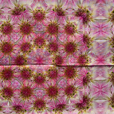 White, Pink, and Red patterns of petals