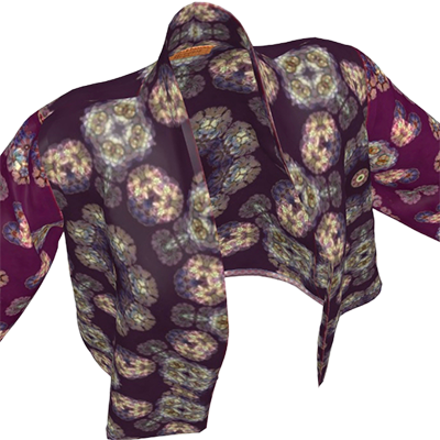 Dark plum jacket with pattern from photo of a Qing Dynasty Vase